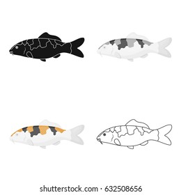 Carp-koi fish icon cartoon. Singe aquarium fish icon from the sea,ocean life cartoon.