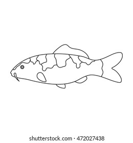 Carp-koi fish icon line. Singe aquarium fish icon from the sea,ocean life collection.