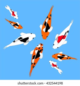 carps. Gold fish collection