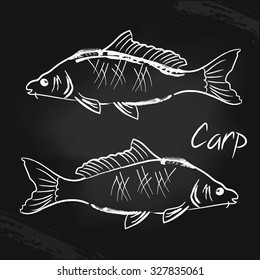 Carps on the black board. Wine sketch. Vector isolated illustration. Ink. Hand drawn. Illustration for cooking site, menus, books.