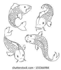  Carps sketches on a white background