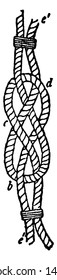 Carrick Bend is a knot used for joining two lines and is particularly appropriate for very heavy rope or cable, vintage line drawing or engraving illustration.