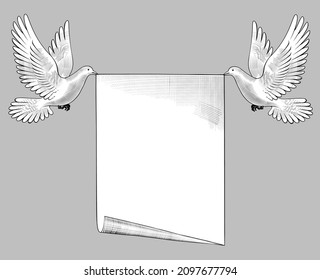 Carrier pigeons carry a banner. Flying Art Template. Vintage engraving stylized drawing. Vector illustration