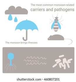 carriers and pathogens in monsoon season or raining
