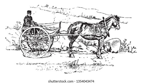 Carriole and Pony that each carriole has a seat behind for the boy or girl whom the owner sends along to bring it back home, vintage line drawing or engraving illustration.