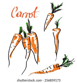 carrot