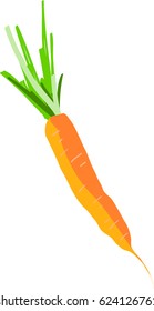 Carrot