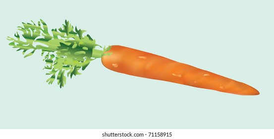 carrot