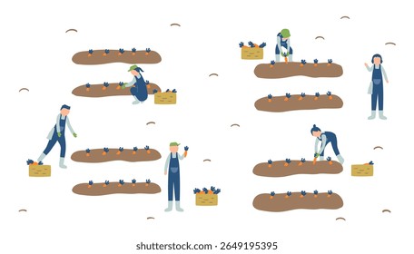 carrot, agriculture, farming, farmer, people, harvest