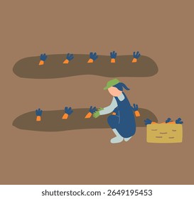 carrot, agriculture, farming, farmer, people, harvest