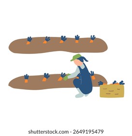 carrot, agriculture, farming, farmer, people, harvest