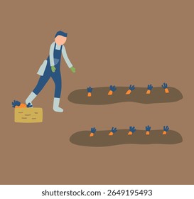 carrot, agriculture, farming, farmer, people, harvest