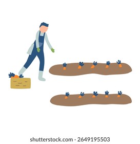 carrot, agriculture, farming, farmer, people, harvest