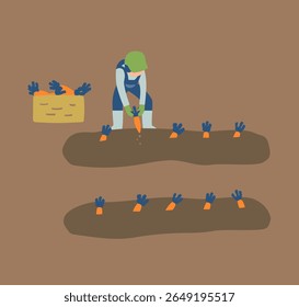 carrot, agriculture, farming, farmer, people, harvest