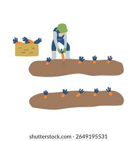 carrot, agriculture, farming, farmer, people, harvest