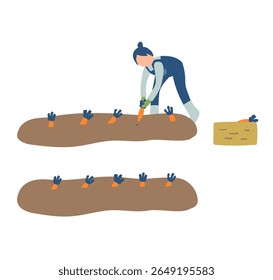 carrot, agriculture, farming, farmer, people, harvest