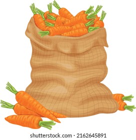 Zanahoria. Una bolsa de zanahorias maduras. Naranja, zanahorias maduras en una bolsa. Verduras frescas. Productos orgánicos de granja. Ilustración del vector