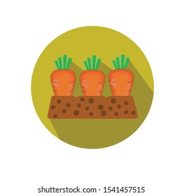 carrot beds vector illustration simple clip art