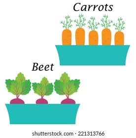carrot and beet onpot. vector