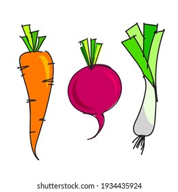 carrot beet root and leeks  hand drawn vector images