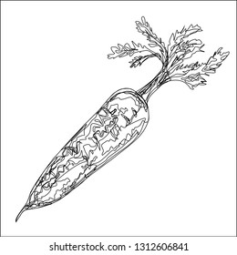 carrot black line