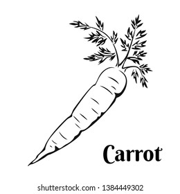 Carrot Black White Outline Icon. Vector Monochrome Illustration Of Healthy Vegetable.