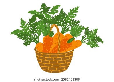 Carrot bright juicy vegetable, healthy vegetarian food, basket with carrots. Vector isolated picture with shadow on white background. 