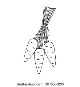 Ilustración vectorial de racimo, doodle de dibujo manual