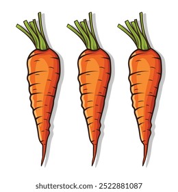 
Carrot bundle with cutting leaf illustration design