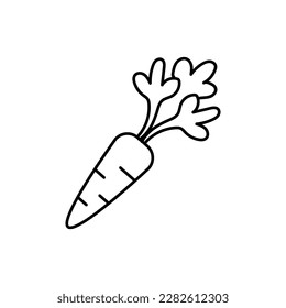 Carrot for bunny on white background