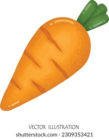 Carrot cartoon drawing vector illustration 