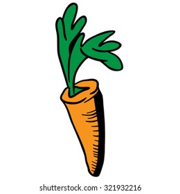 carrot cartoon illustration