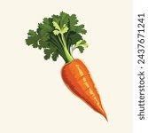 Carrot cartoon isolated. Vector illustration.