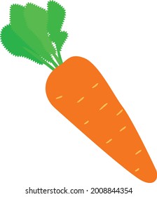 carrot cartoon organic illustration design