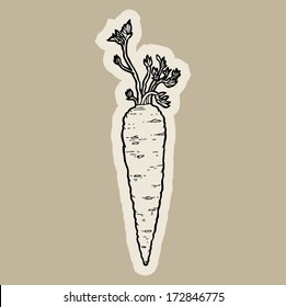 Carrot cartoon vector.