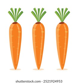 Carrot Vetor Cartoon, Ícone De Cenoura, Vegetal, Laranja, Fresco, Saboroso. Perfeito para Infográficos, Banners, Posters, Web Design. Isolado no plano de fundo branco