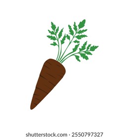Karotten-Cartoon-Vektor, Karotten-Symbol, Gemüse, Orange, frisch, Obst, lecker, Karotten-Symbol, Karotten-Symbol.