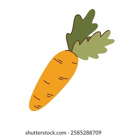 Carrot cartoon vector illustration. fresh orange carrot with green leafs.