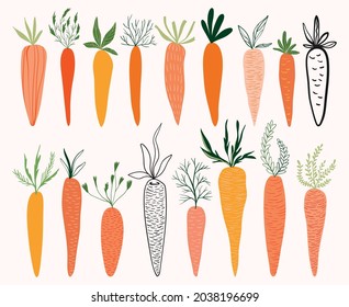 Carrot collection with different design elements, isolated