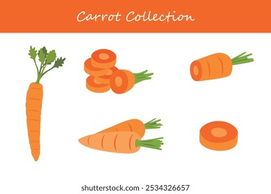coleção de cenoura em diferentes poses. Ilustração vetorial.