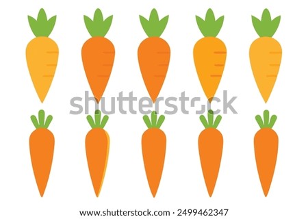 Carrot Color Art Illustration Beauty