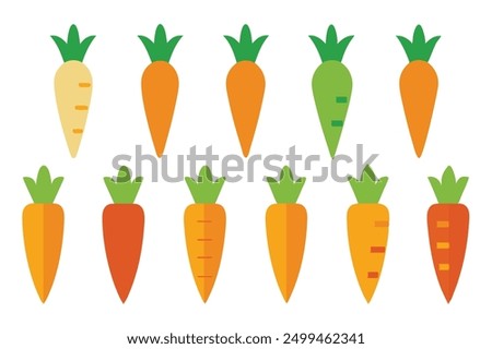 Carrot Color Art Illustration Creations