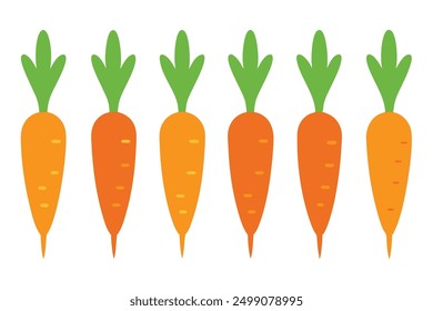 Carrot Color Art Illustration Excellence