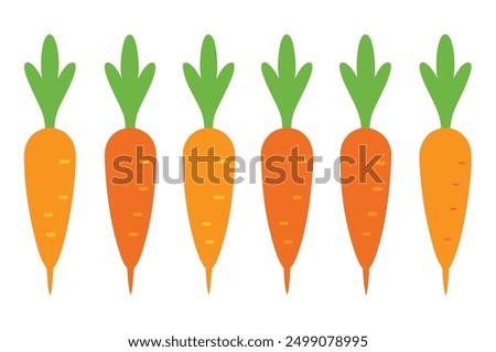 Carrot Color Art Illustration Excellence