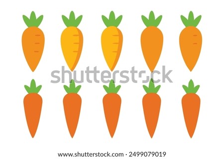 Carrot Color Art Illustration Magic