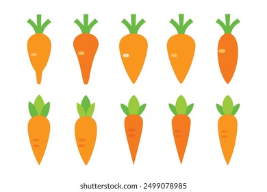Carrot Color Art Illustration Wonders