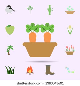 Carrot colored icon. Universal set of nature for website design and development, app development