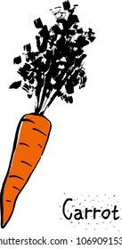 Carrot colored vector illustration