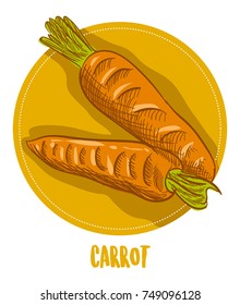 Carrot Colorful Vegetables Vector Doodle Sketch Illustration
