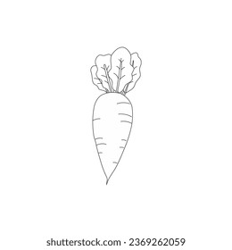 
Carrot Coloring page vector line art for book and drawing.